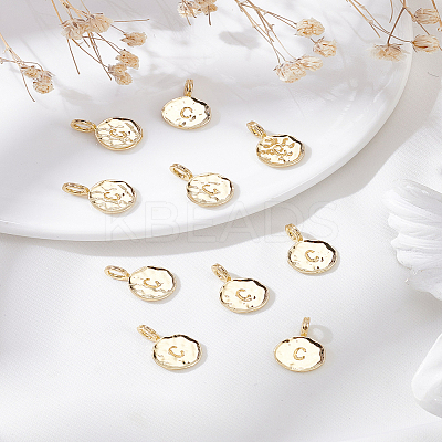 10Pcs Alloy Pendants FIND-LP0003-36C-1