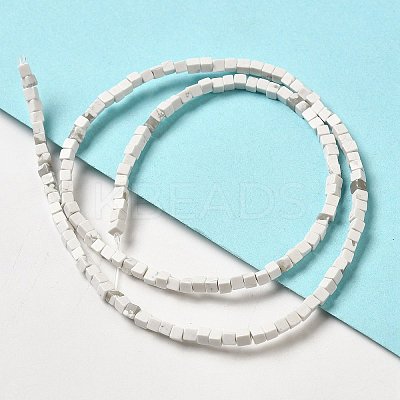 Natural Howlite Beads Strands G-B064-A12-1