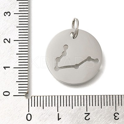 Anti-Tarnish 304 Stainless Steel Pendants STAS-M074-02F-P-1