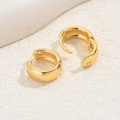 Fashionable Classic Versatile Brass Hoop Earrings with High-end Style for Women LS-UF2391-1