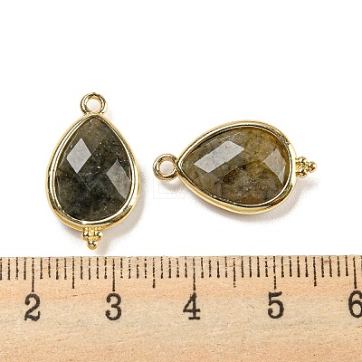 Natural Labradorite Faceted Pendants G-M431-15G-04-1