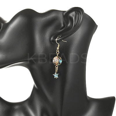 Natural Paua Shell Dangle Earrings for Women EJEW-JE07077-1