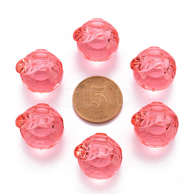 Transparent Acrylic Pendants TACR-T024-05B-910-1