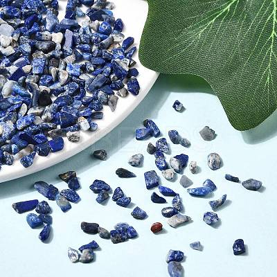 Natural Lapis Lazuli Chip Beads G-L453-05-1