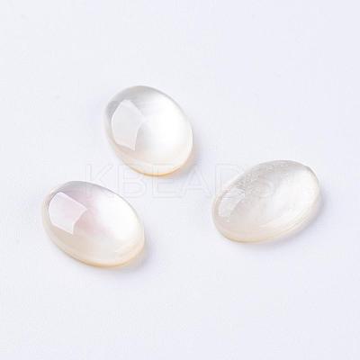 Shell Cabochons G-L470-15-1