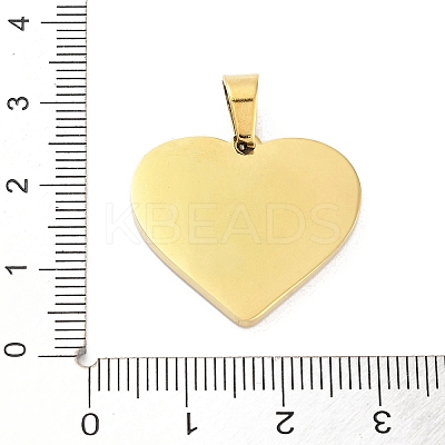 304 Stainless Steel Charms LS-STAS-M341-01G-09-1