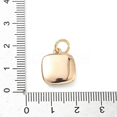 Printed 304 Stainless Steel Pendants STAS-A131-10C-G-1
