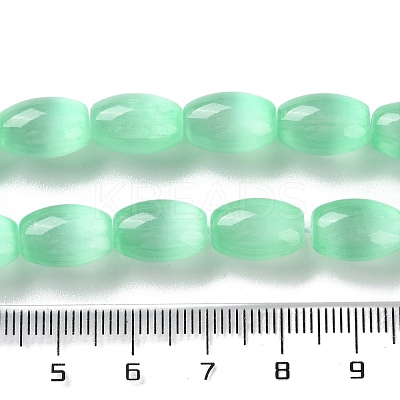 Macaron Color Natural Selenite Beads Strands G-B102-A01-08-1