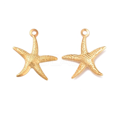 Iron Pendants IFIN-I030-10G-1