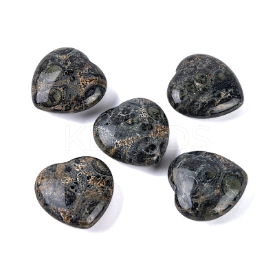 Natural Kambaba Jasper Healing Stones G-G020-01-02-1