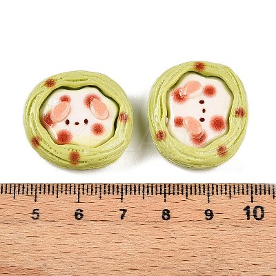 Cartoon Opaque Resin Decoden Cabochons RESI-N039-129C-1