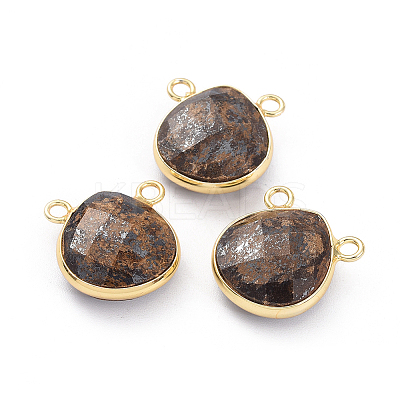 Natural Mixed Stone Charms G-L547-030-1