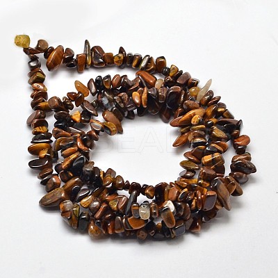Natural Yellow Tiger Eye Chip Bead Strands LS-G-L444-01-1