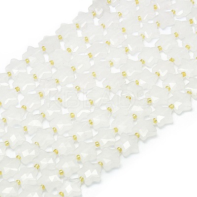 Natural Quartz Crystal Beads Strands G-P573-C03-01-1