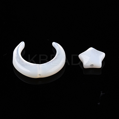 Natural White Shell Beads Sets SSHEL-N032-52A-01-1