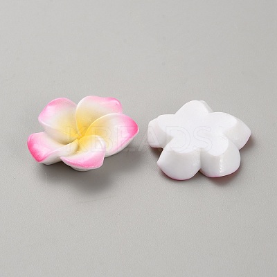 Two Tone Resin Cabochons RESI-WH20010-01F-1