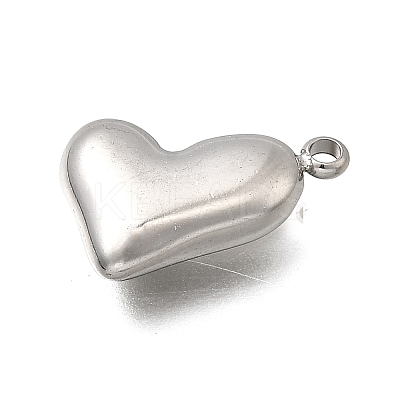304 Stainless Steel Pendants STAS-Z163-18P-1