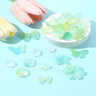 60G Transparent Acrylic Beads OACR-FS0001-90C-1