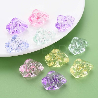 Transparent Acrylic Beads MACR-S373-74-B-1