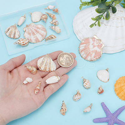 24Pcs 12 Styles Electroplate Spiral Shell Pendants SSHEL-UN0001-04-1