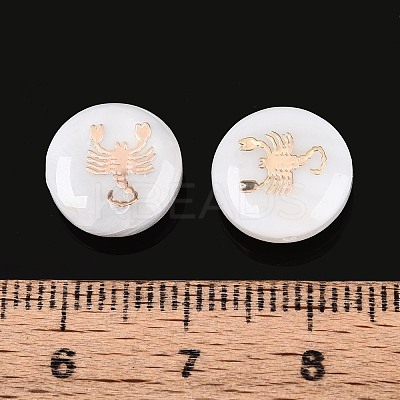 Natural Freshwater Shell Beads SHEL-N037-02F-G-1