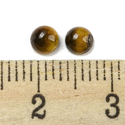 Natural Tiger Eye Cabochons G-H309-03-40-1