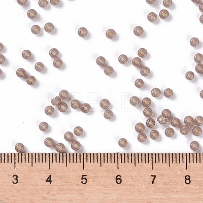 MIYUKI Round Rocailles Beads X-SEED-G008-RR0641-1