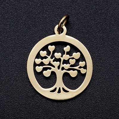 304 Stainless Steel Pendants STAS-T046-JA350-2A-1