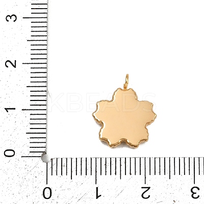 304 Stainless Steel Pendants Ion Plating(IP) STAS-C143-01C-G-1