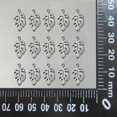 304 Stainless Steel Charms LS-STAS-CJC0008-15P-1