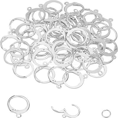 304 Stainless Steel Leverback Earring Findings STAS-UN0014-18S-1