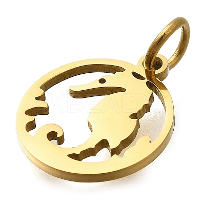 304 Stainless Steel Charms STAS-Z119-06G-1