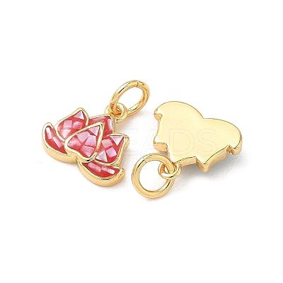 Rack Plating Brass & Shell Charms KK-I357-10G-1