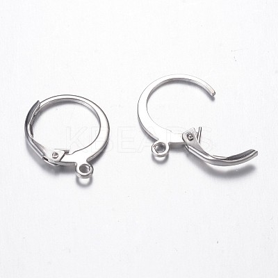 Tarnish Resistant 304 Stainless Steel Leverback Earring Findings X-STAS-G059-19-1