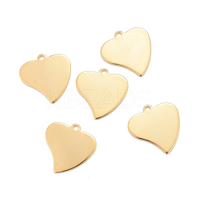 201 Stainless Steel Pendants STAS-K217-70G-1