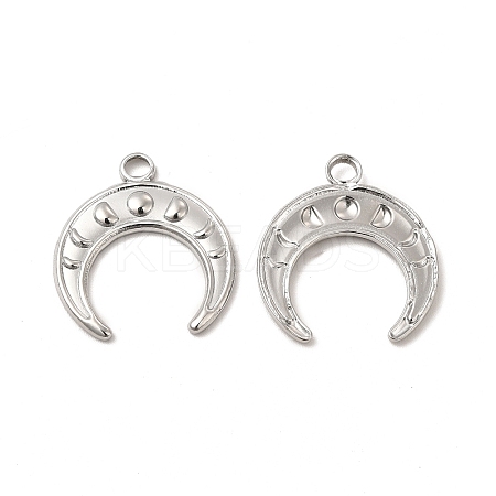 Non-Tarnish 304 Stainless Steel Pendants STAS-I671-14P-1