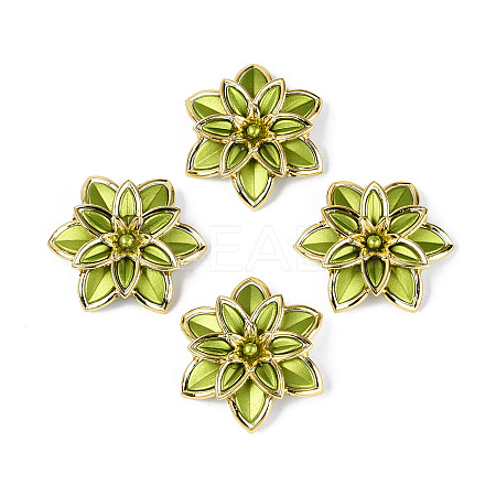 Matte Spray Painted Acrylic Beads LS-OACR-N159-01A-1
