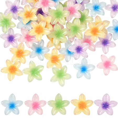 50Pcs 5 Colors Transparent Resin Cabochons RESI-SC0006-24-1