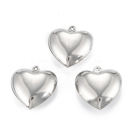 Non-Tarnish 316 Surgical Stainless Steel Pendants LS-STAS-C026-15A-P-1