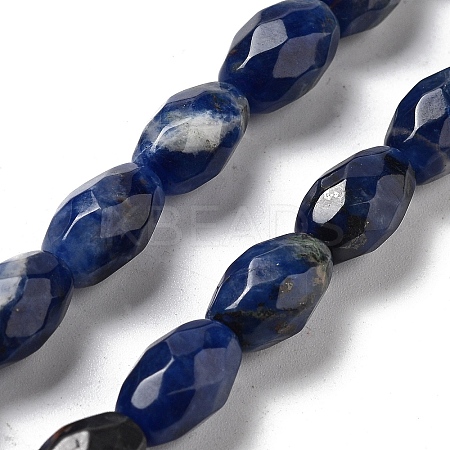 Natural Sodalite Beads Strands G-P520-C07-01-1