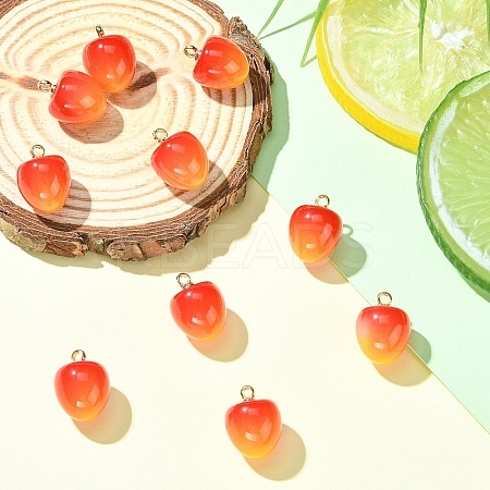 10Pcs Plastic Pendants KY-YW0002-17A-1