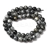 Natural Hawk's Eye Beads Strands G-L478-03-8mm-01-5