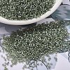 MIYUKI Delica Beads SEED-J020-DB2378-1