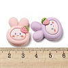 Opaque Resin Decoden Cabochons RESI-F052-A03-3