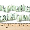 Dyed Natural Trochus Shell Beads Strands SSHEL-C013-09I-4