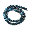 Round Natural Apatite Beads Strands G-K068-02-8mm-5