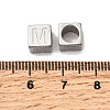 304 Stainless Steel European Beads STAS-D382-02M-P-2