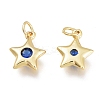 Brass Micro Pave Cubic Zirconia Charms KK-M206-30G-02-1