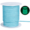 1Pc Luminous Polyester Heavy-duty Cords OCOR-SP0001-21D-1