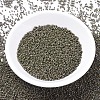 MIYUKI Delica Beads SEED-X0054-DB0657-3